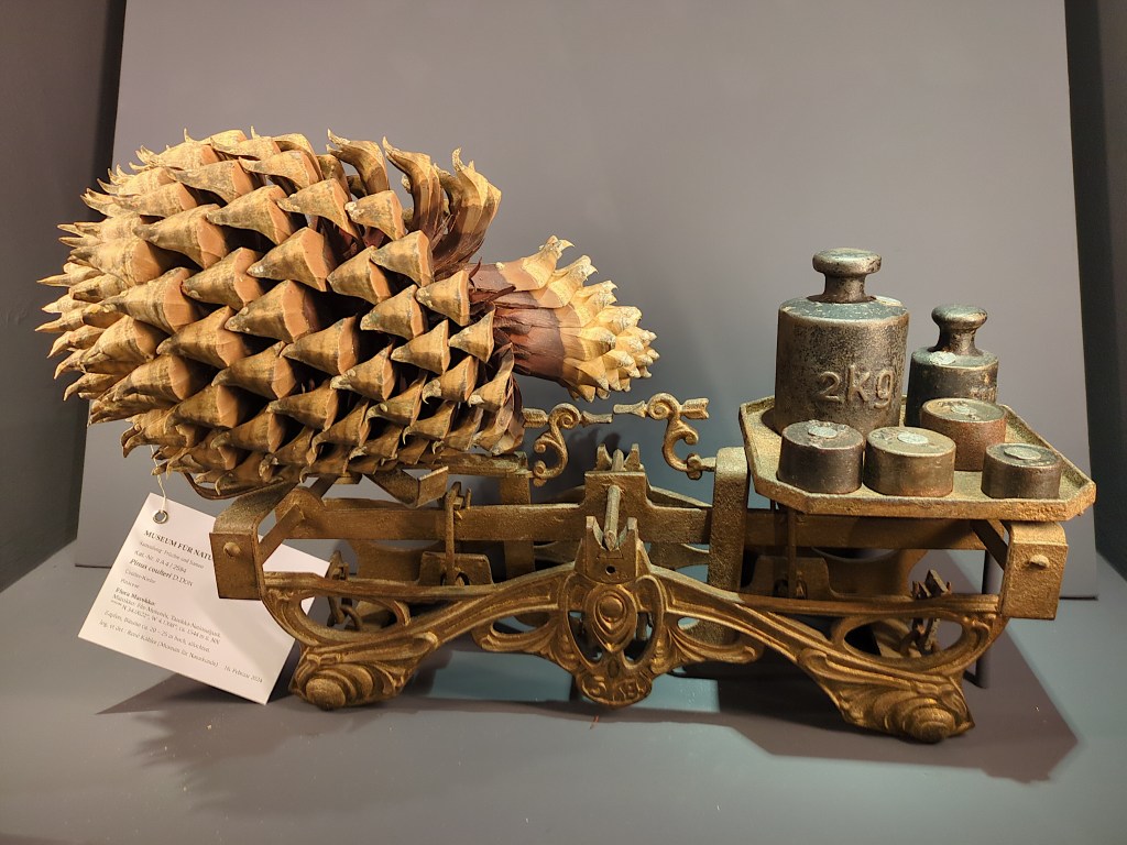 Bäume, Sträucher und mehr im Geraer Naturkundemuseum