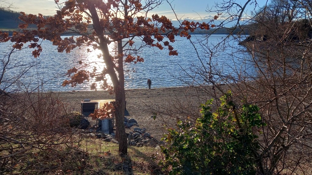 Badegewässerqualität in Talsperre Pirk dieses Jahr nicht&nbsp;überwacht