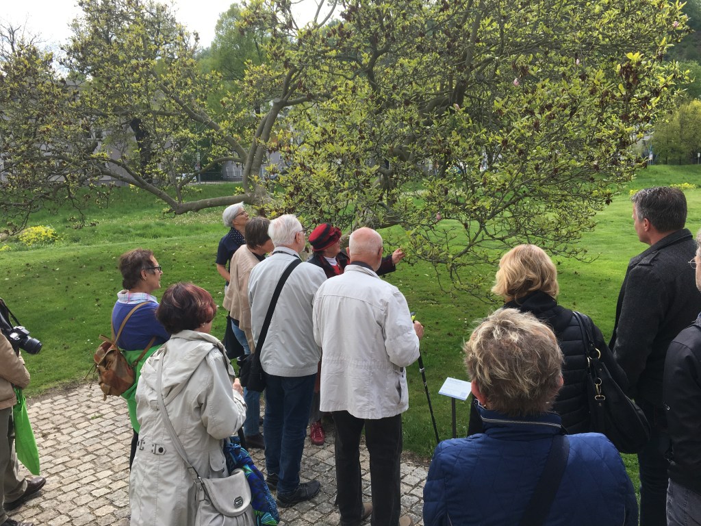 Geführter Rundgang durch den Fürstlich Greizer&nbsp;Park