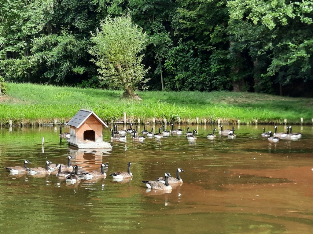 Tierischer Überfall
