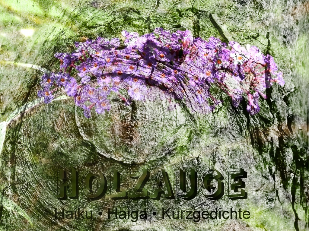 Haiku des Tages vom 3. August&nbsp;2024