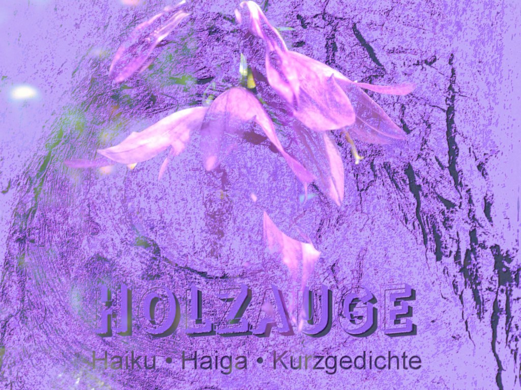 Haiku des Tages vom 6. August&nbsp;2024