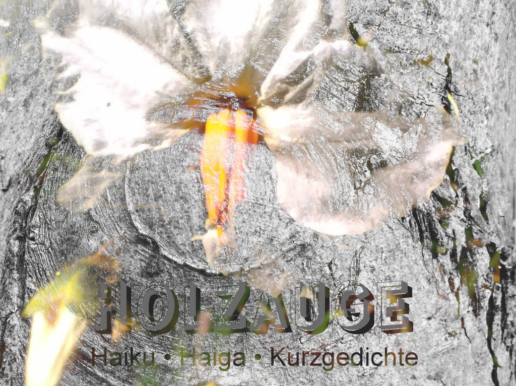 Haiku des Tages vom 12. August&nbsp;2024