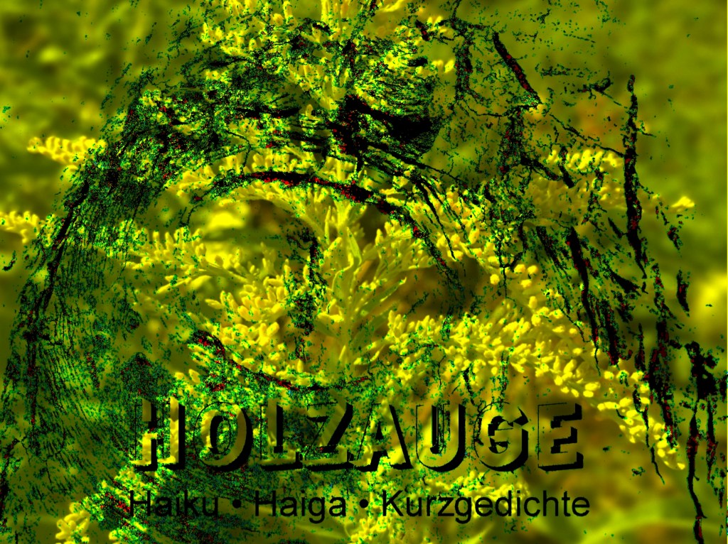 Haiku des Tages vom 15. August 2024