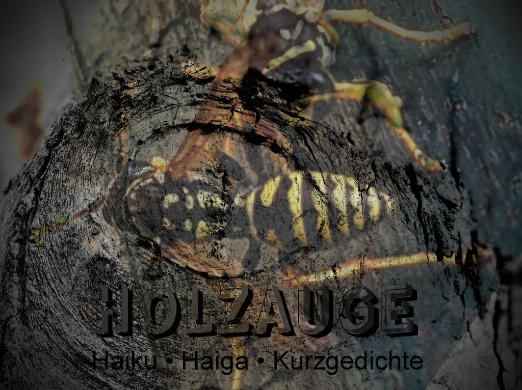 Haiku des Tages vom 2. September&nbsp;2024