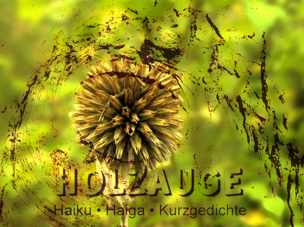 Haiku des Tages vom 18. September&nbsp;2024