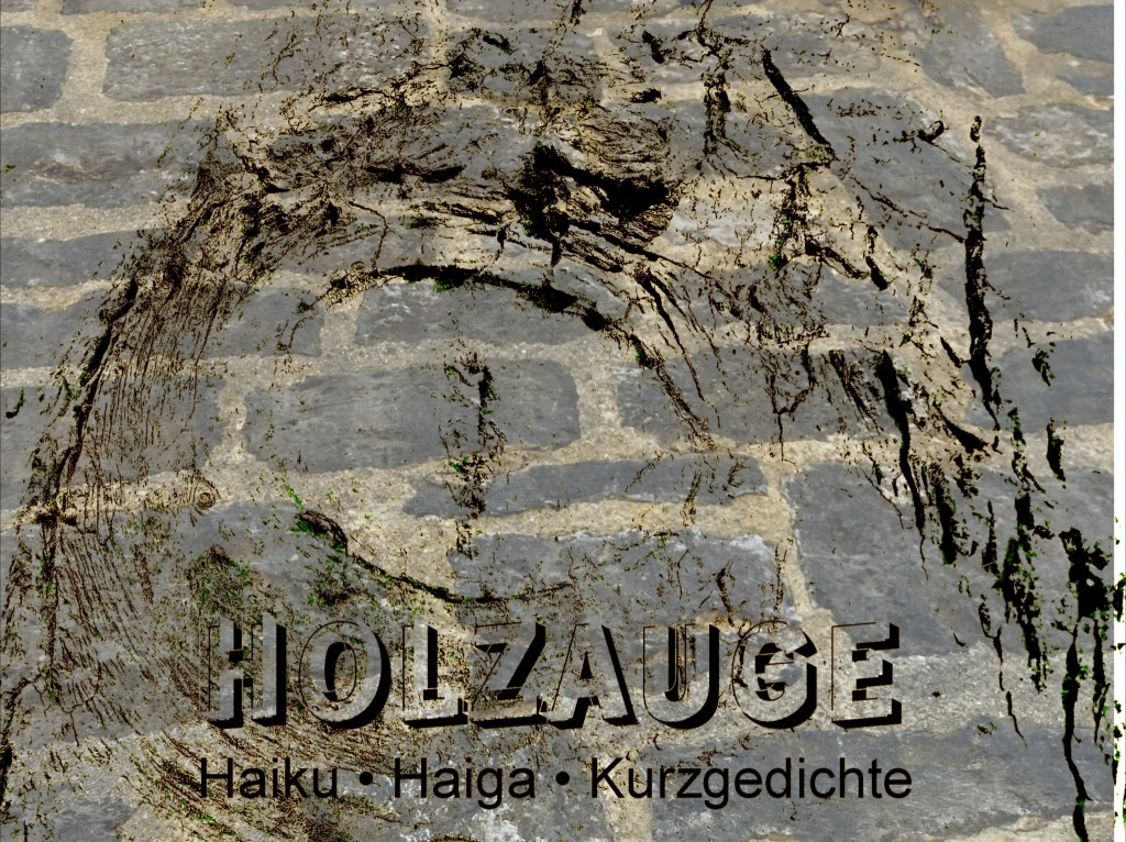 Haiku des Tages vom 20. September&nbsp;2024