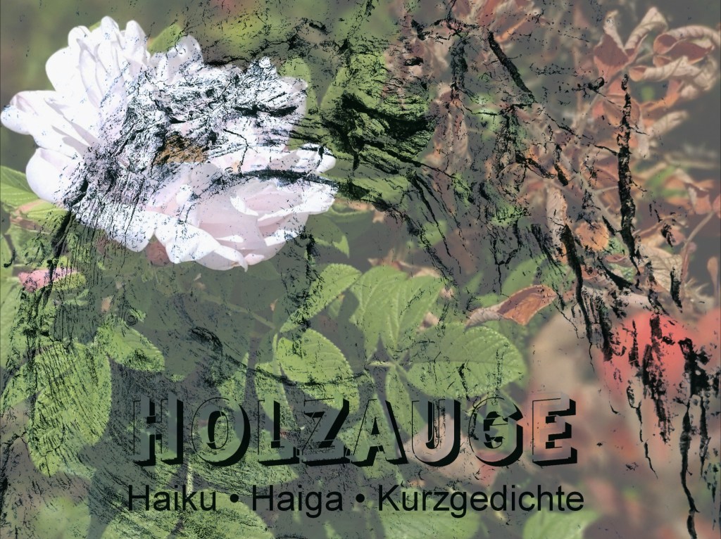 Haiku des Tages vom 23. September&nbsp;2024