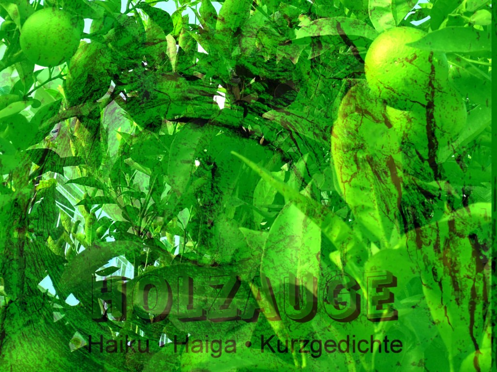 Haiku des Tages vom 15. Oktober&nbsp;2024
