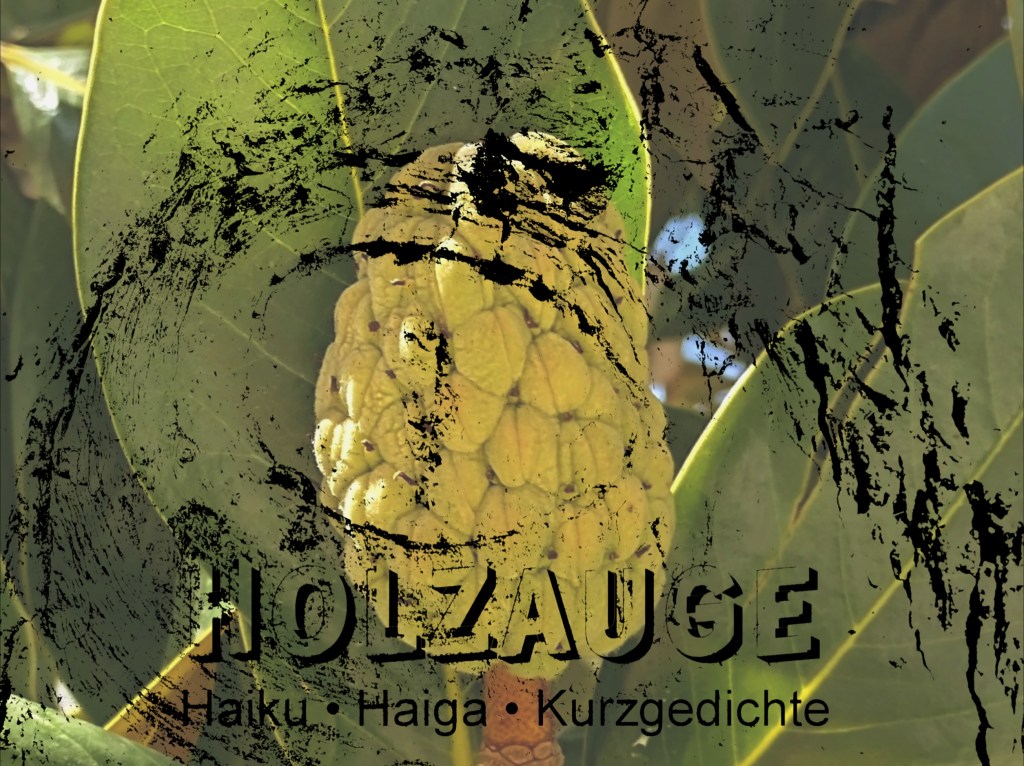 Haiku des Tages vom 16. Oktober&nbsp;2024