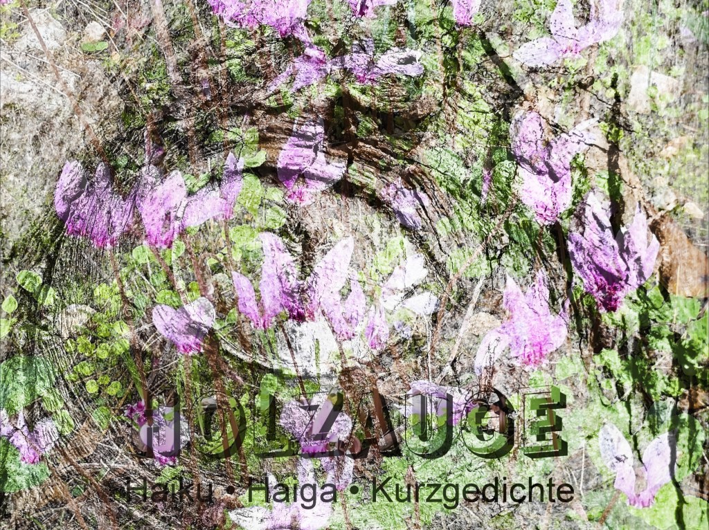 Haiku des Tages vom 29. September&nbsp;2024