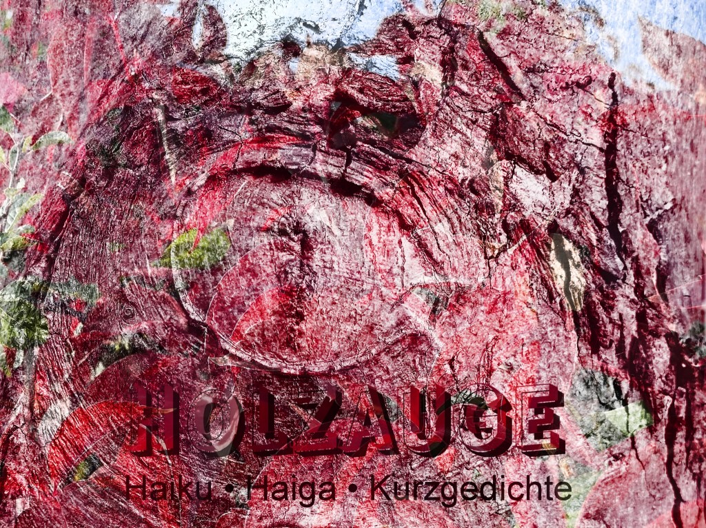 Haiku des Tages vom 9. November&nbsp;2024