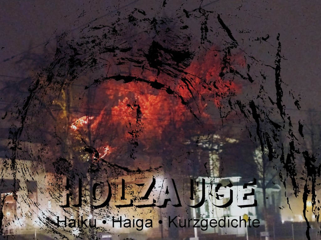 Haiku des Tages vom 11. November&nbsp;2024