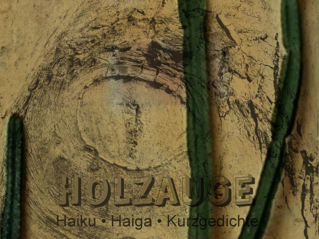 Haiku des Tages vom 25. November&nbsp;2024