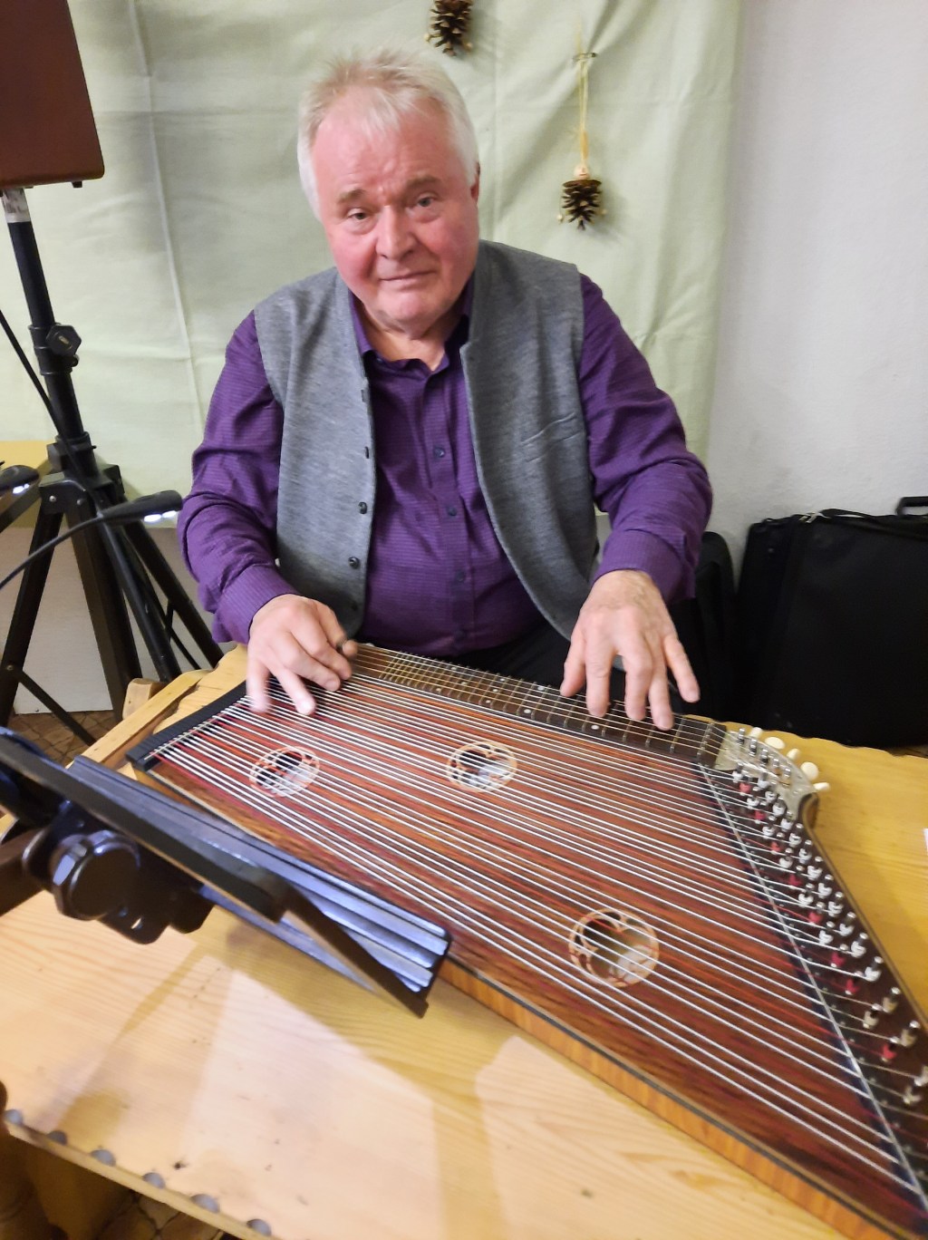 Zitherspieler verzaubert Landfrauen