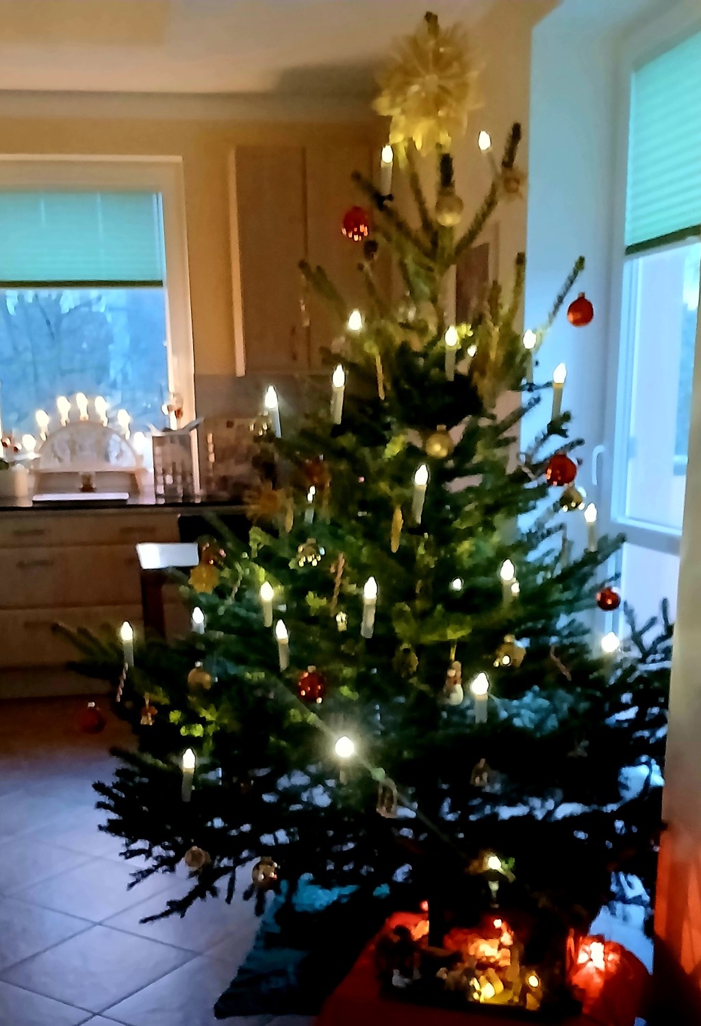 Weihnachtsbaum- und Abfallentsorgung 2025 im&nbsp;Vogtlandkreis