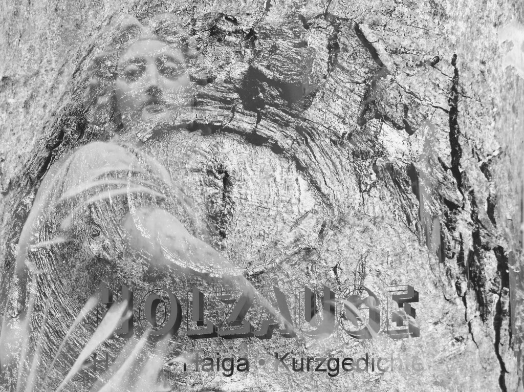 Haiku des Tages vom 1. Dezember&nbsp;2024