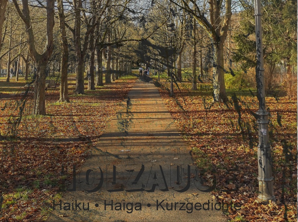 Haiku des Tages vom 3. Dezember&nbsp;2024