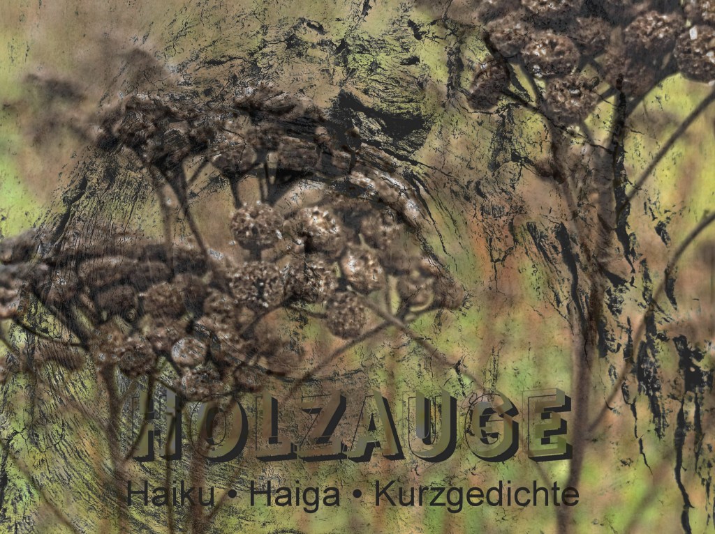 Haiku des Tages vom 8. Dezember&nbsp;2024