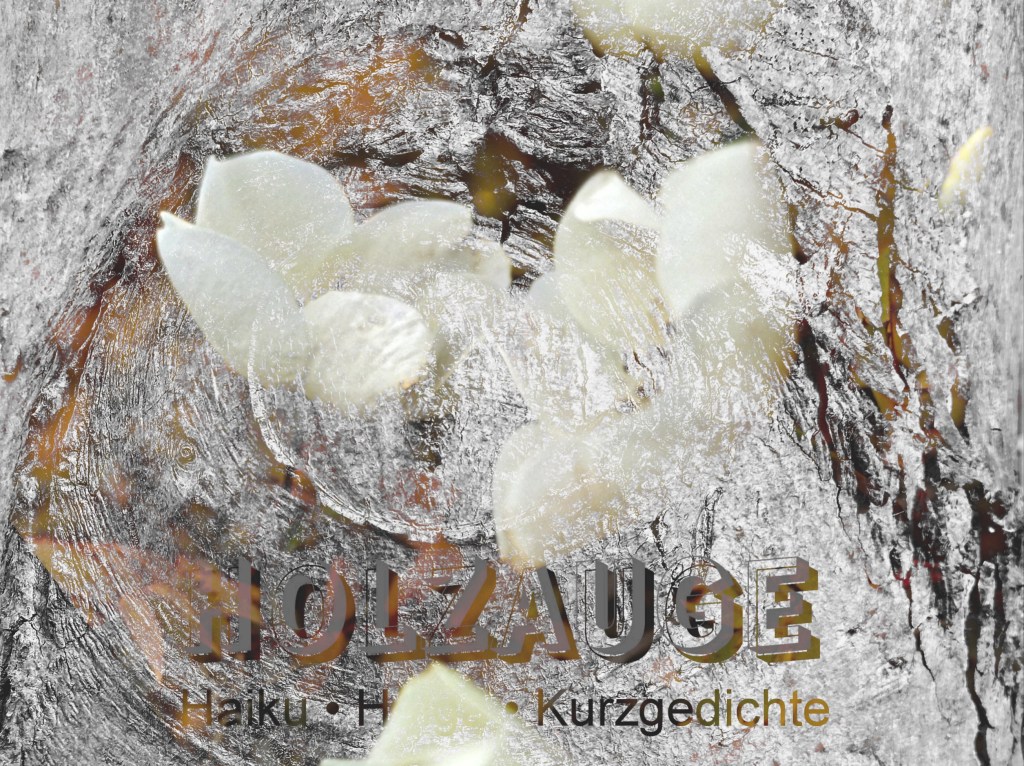 Haiku des Tages vom 12. Dezember&nbsp;2024