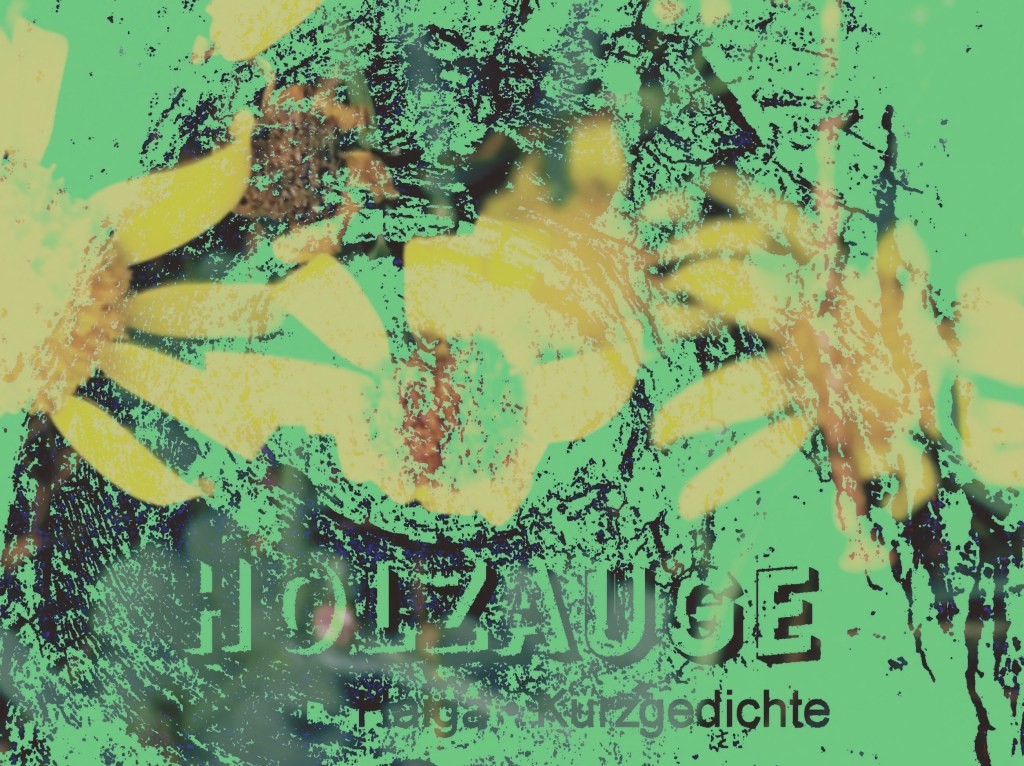 Haiku des Tages vom 14. Dezember&nbsp;2024