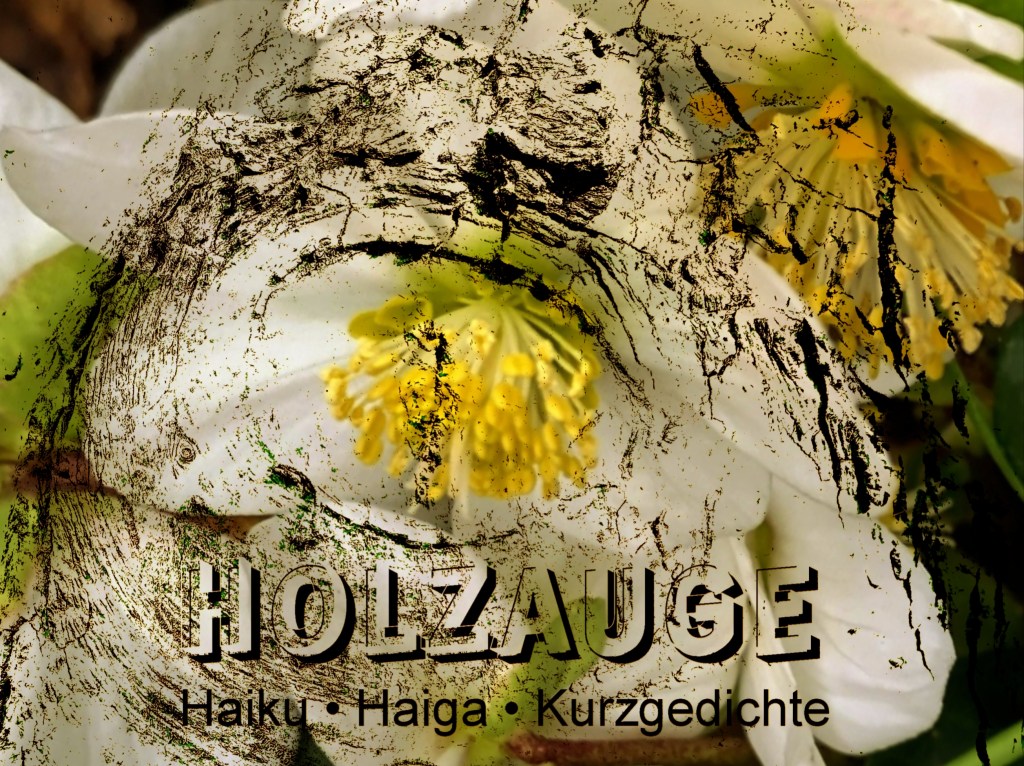 Haiku des Tages vom 18. Dezember&nbsp;2024