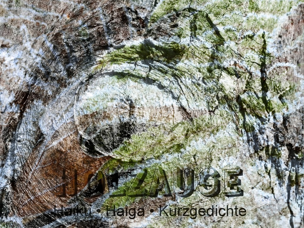 Haiku des Tages vom 29. Dezember 2024