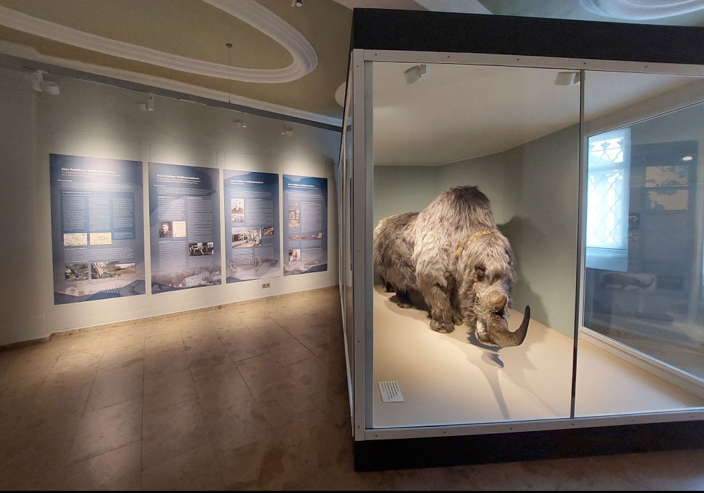 Sonntags bei Wollhaarnashorn & Co. in&nbsp;Gera