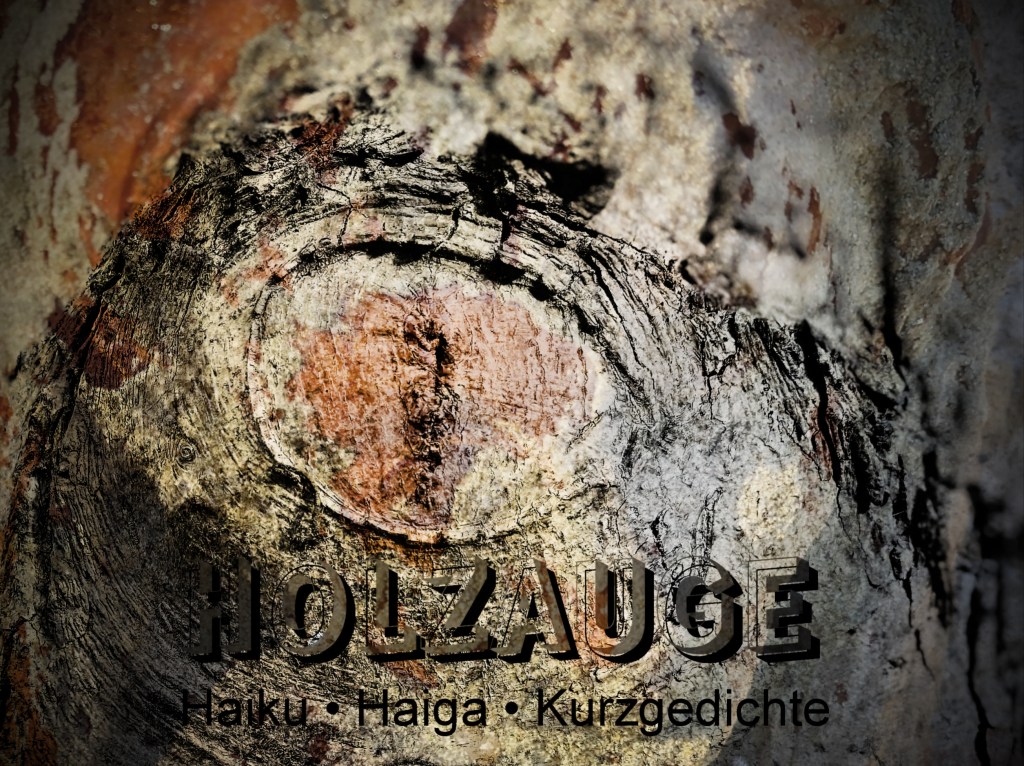 Haiku des Tages vom 11. Januar&nbsp;2025