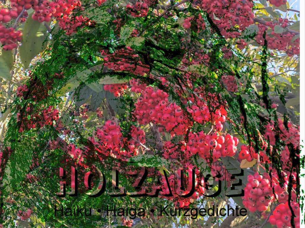 Haiku des Tages vom 12. Januar&nbsp;2025