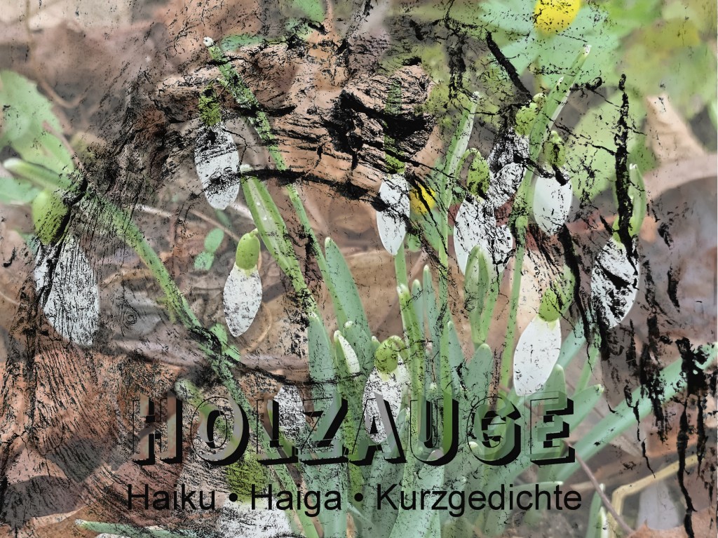 Haiku des Tages vom 28. Januar&nbsp;2025