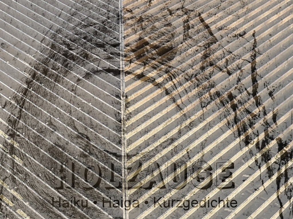 Haiku des Tages vom 30. Januar&nbsp;2025