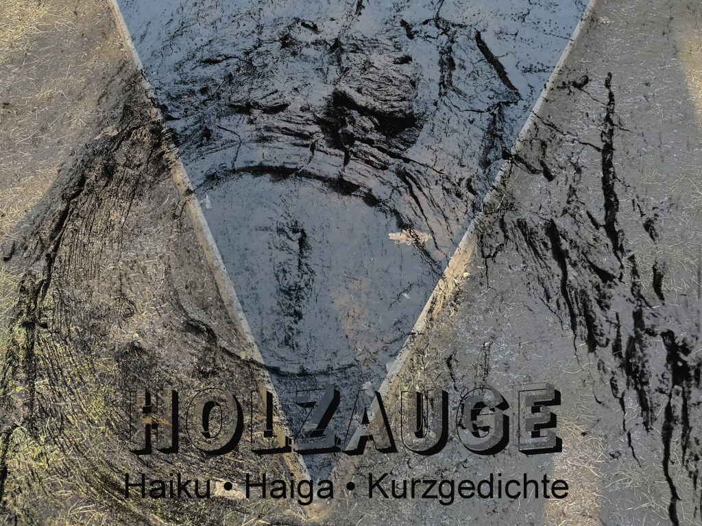 Haiku des Tages vom 31. Januar&nbsp;2025