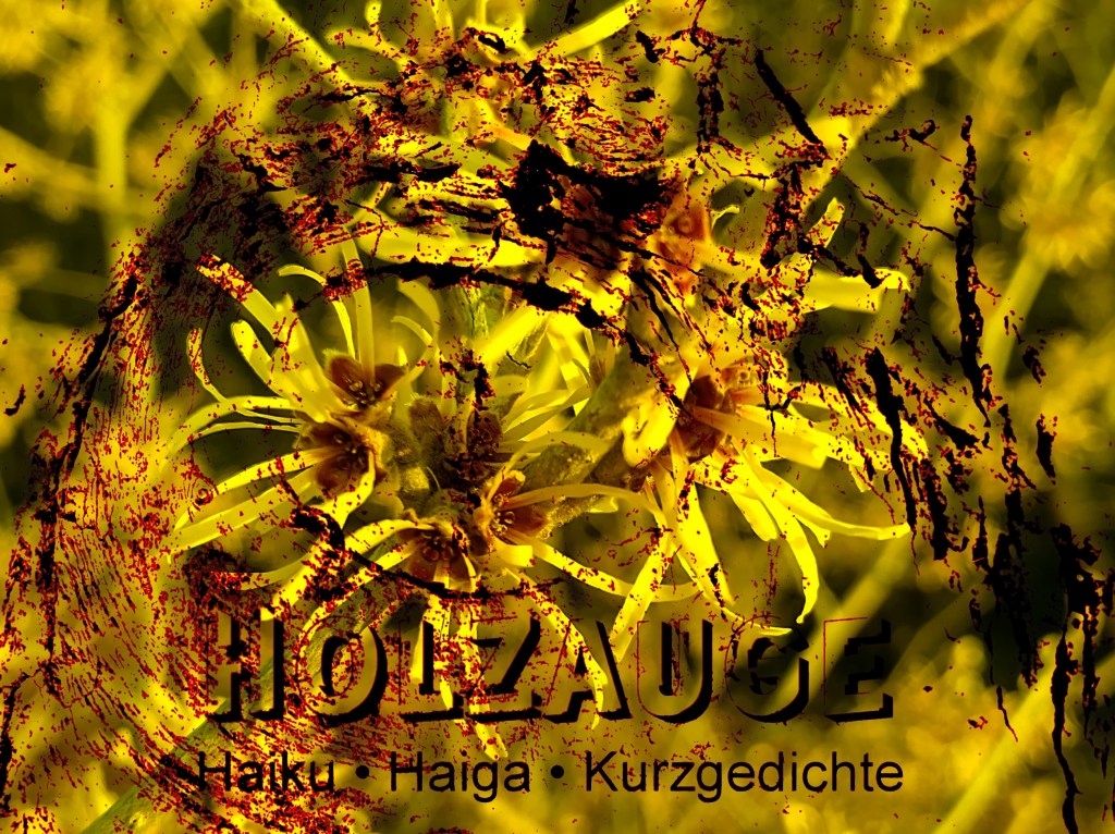 Haiku des Tages vom 10. Februar&nbsp;2025