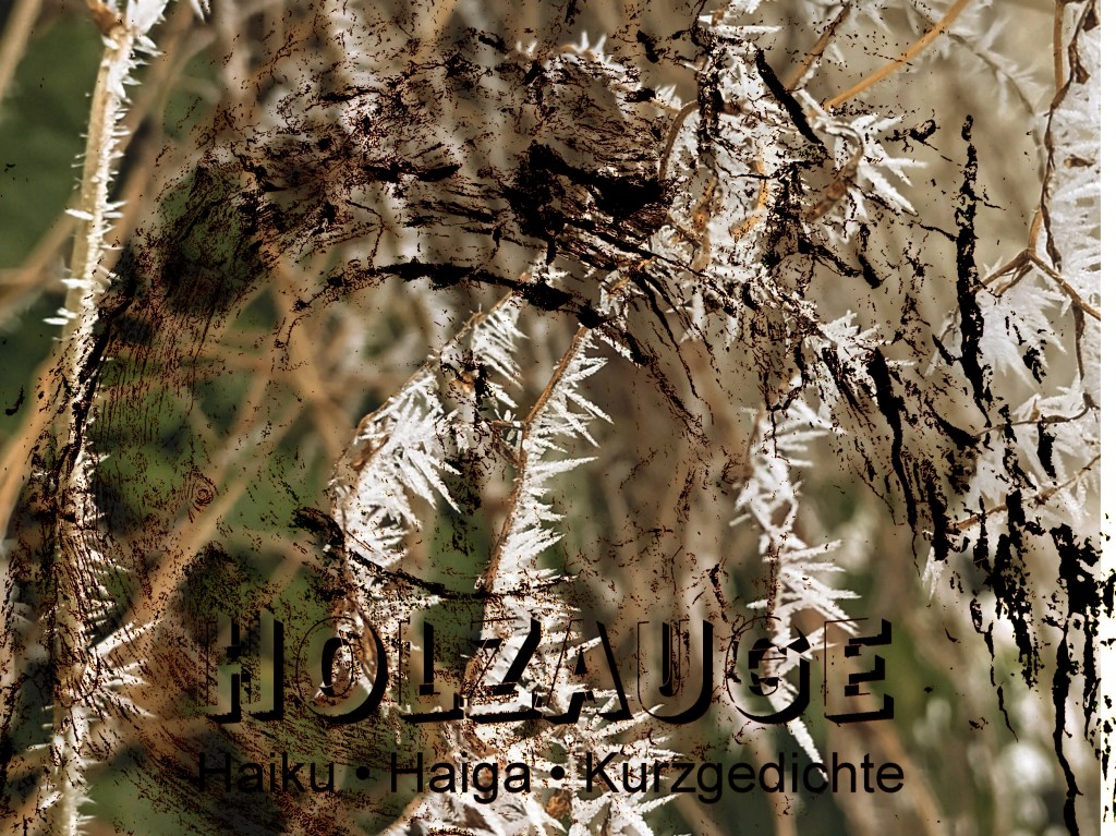 Haiku des Tages vom 16. Februar&nbsp;2025