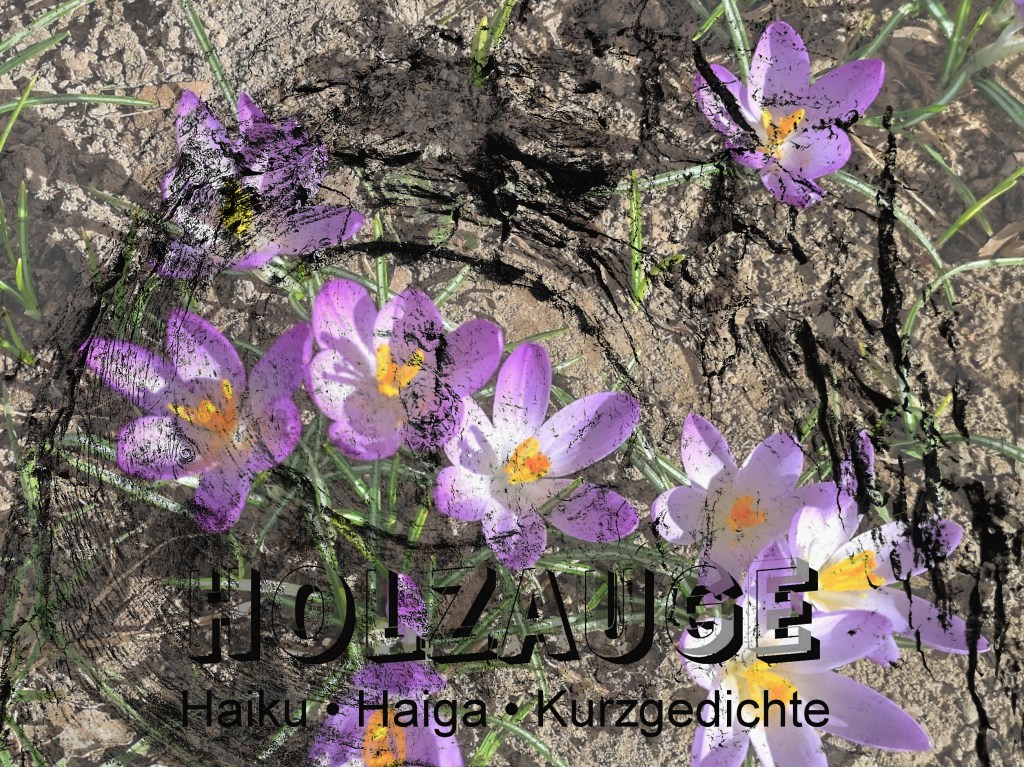 Haiku des Tages vom 24. Februar&nbsp;2025