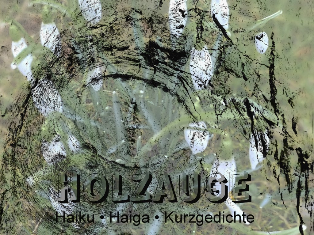 Haiku des Tages vom 26. Februar&nbsp;2025