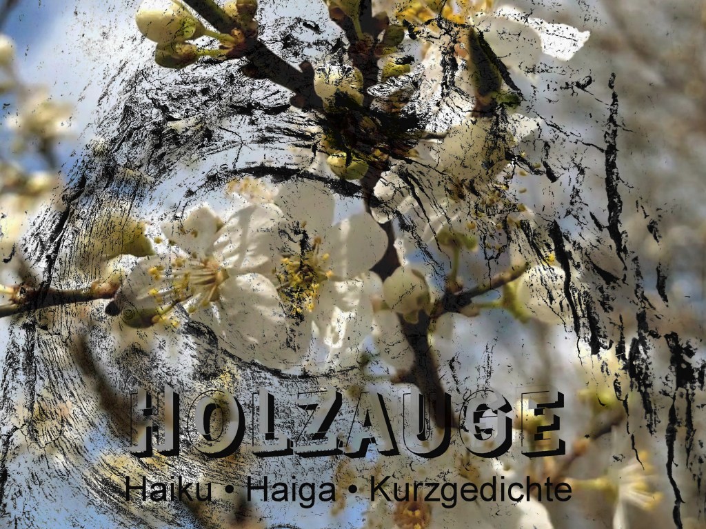Haiku des Tages vom 16. März&nbsp;2025