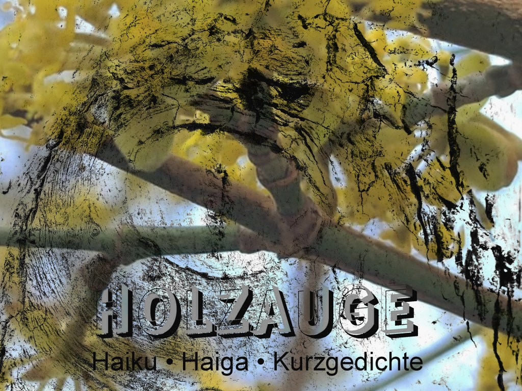 Haiku des Tages vom 18. März&nbsp;2025