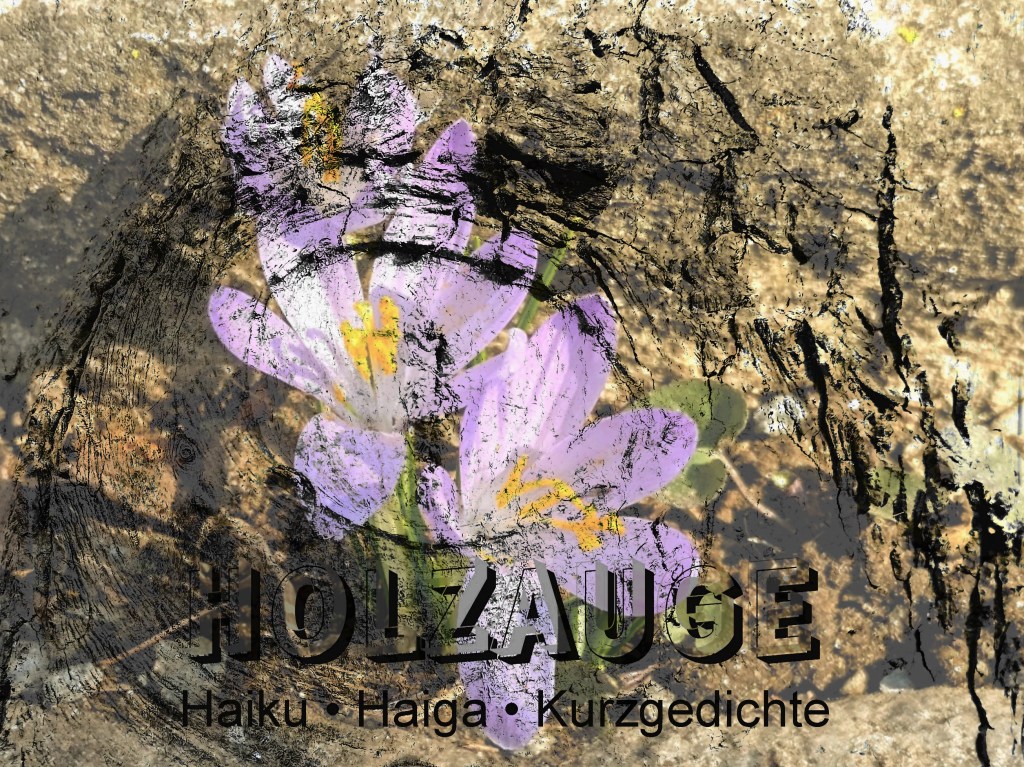 Haiku des Tages vom 25. März&nbsp;2025