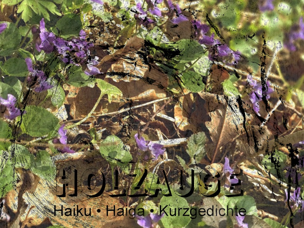 Haiku des Tages vom 29. März&nbsp;2025