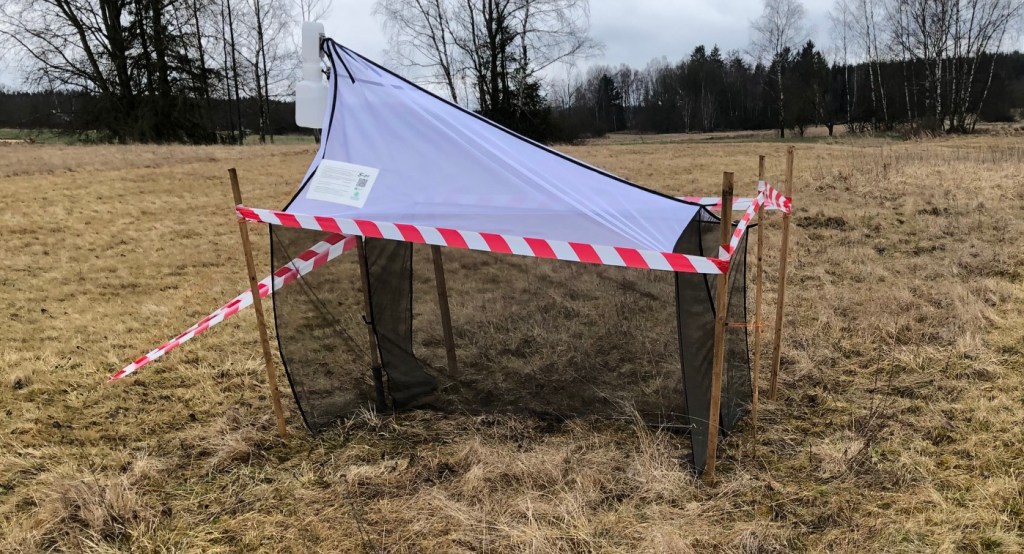 Grünes Band: Forscher untersuchen Insektenvielfalt
