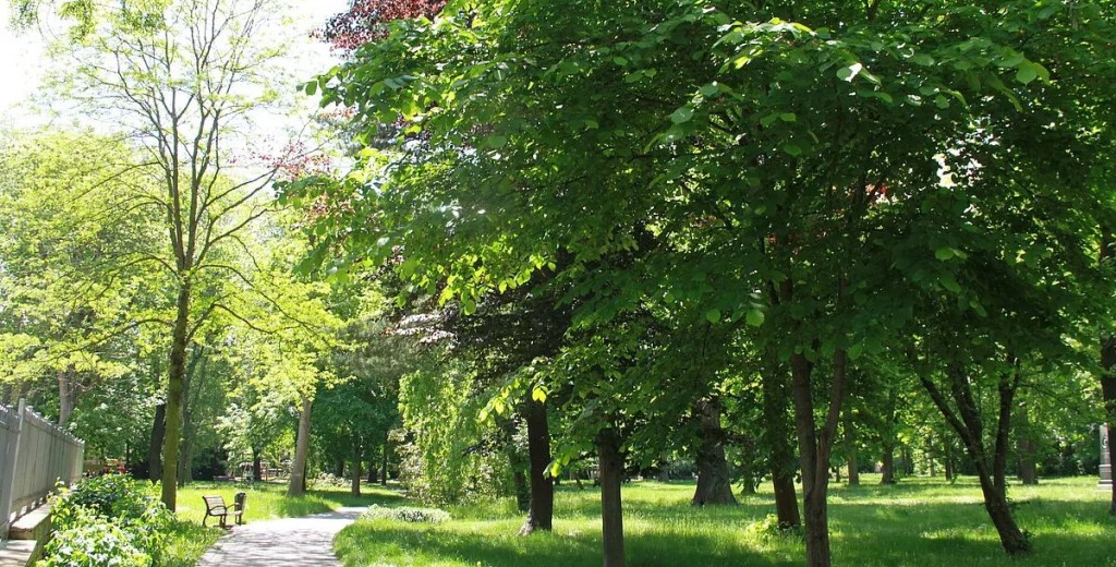 Stadt Gera gründet Arbeitsgruppe „Urbane&nbsp;Sicherheit“
