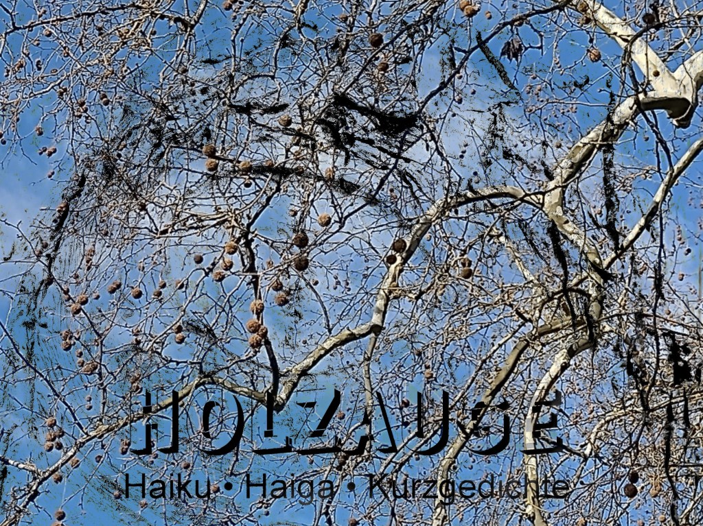 Haiku des Tages vom 10. April&nbsp;2025