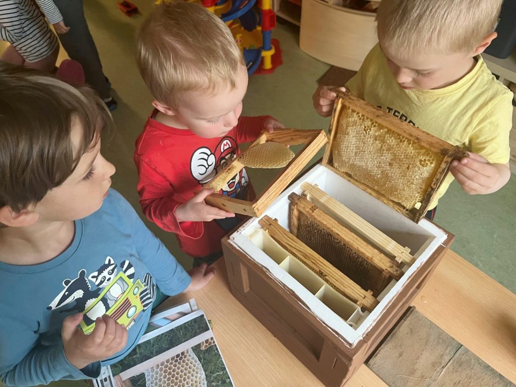 Bienchenfest und Einzugsparty – zwei Zwickauer Kita-Projekte zum&nbsp;Weltbienentag