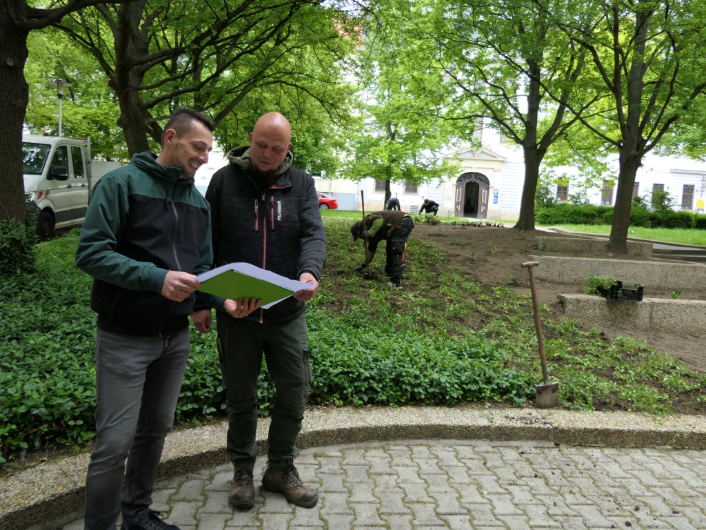 Gasse inmitten von Gera erstrahlt mit neuem&nbsp;Grün