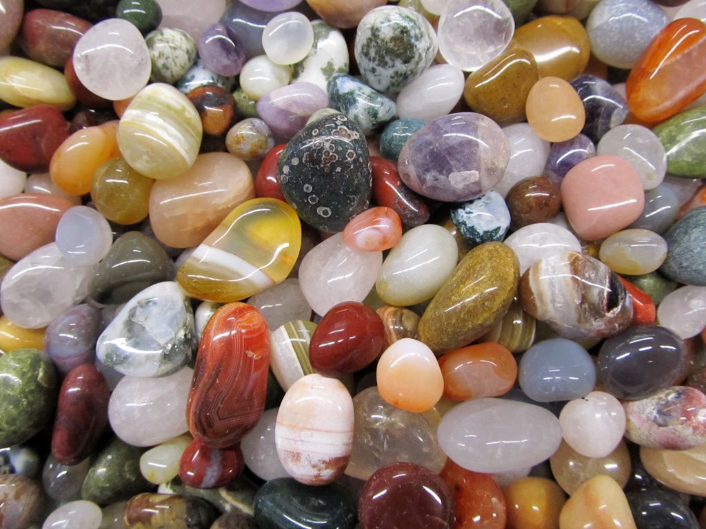 Sommerferienprogramm im Naturkundemuseum Gera