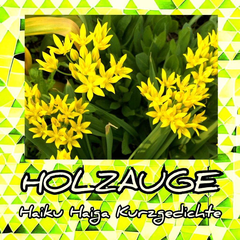 Haiku des Tages vom 4. Juni&nbsp;2025