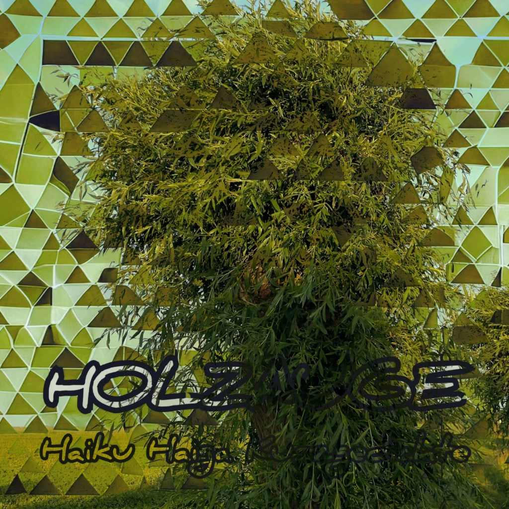 Haiku des Tages vom 24. Juni&nbsp;2025