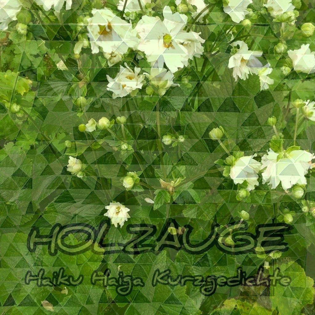 Haiku des Tages vom 27. September&nbsp;2025